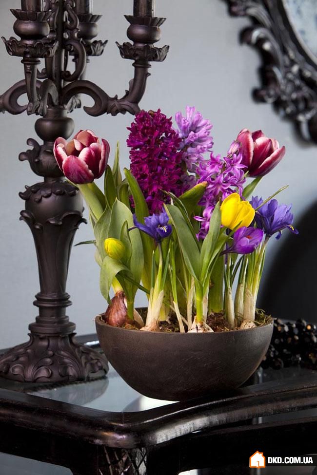 Прикрашаємо будинок по-весняному: 7 рад від декоратора