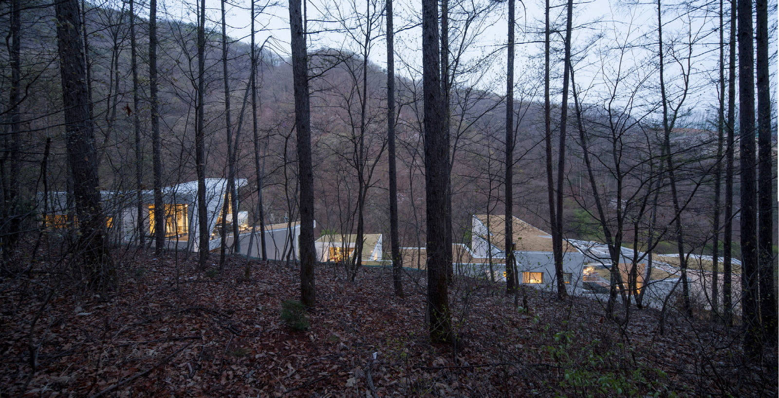 Гармония с природой в проекте резиденции в Южной Корее