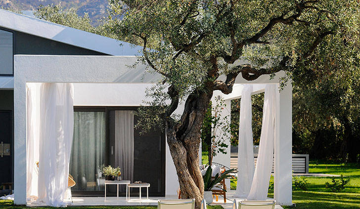 Современная вилла с белоснежной террасой в оливковой роще в Греции