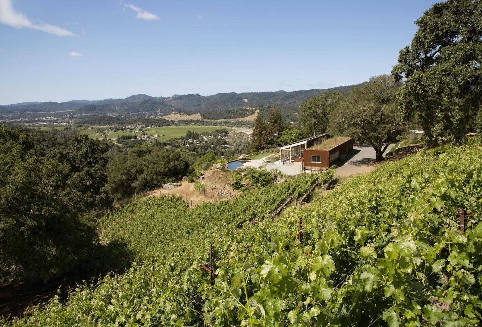 Экологичный дом среди виноградников Калифорнии