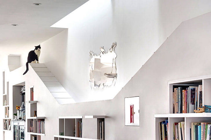 Дом для любителей книг и котов в Бруклине