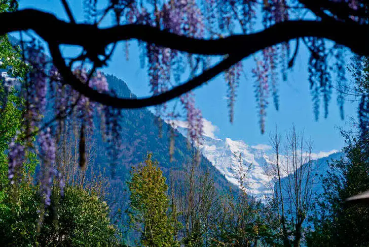 Forêt et montagnes : un chalet original dans les Alpes suisses - Gallery image 20