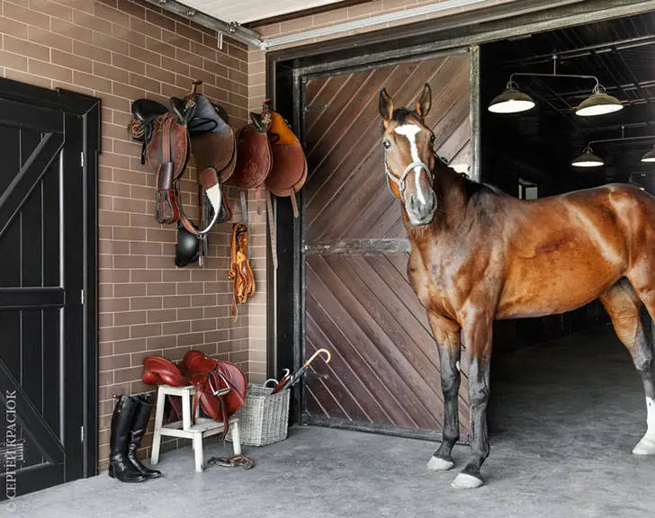 Мисливський готель «Уткино Country House» під Ростовом-на-Дону - Gallery image 15
