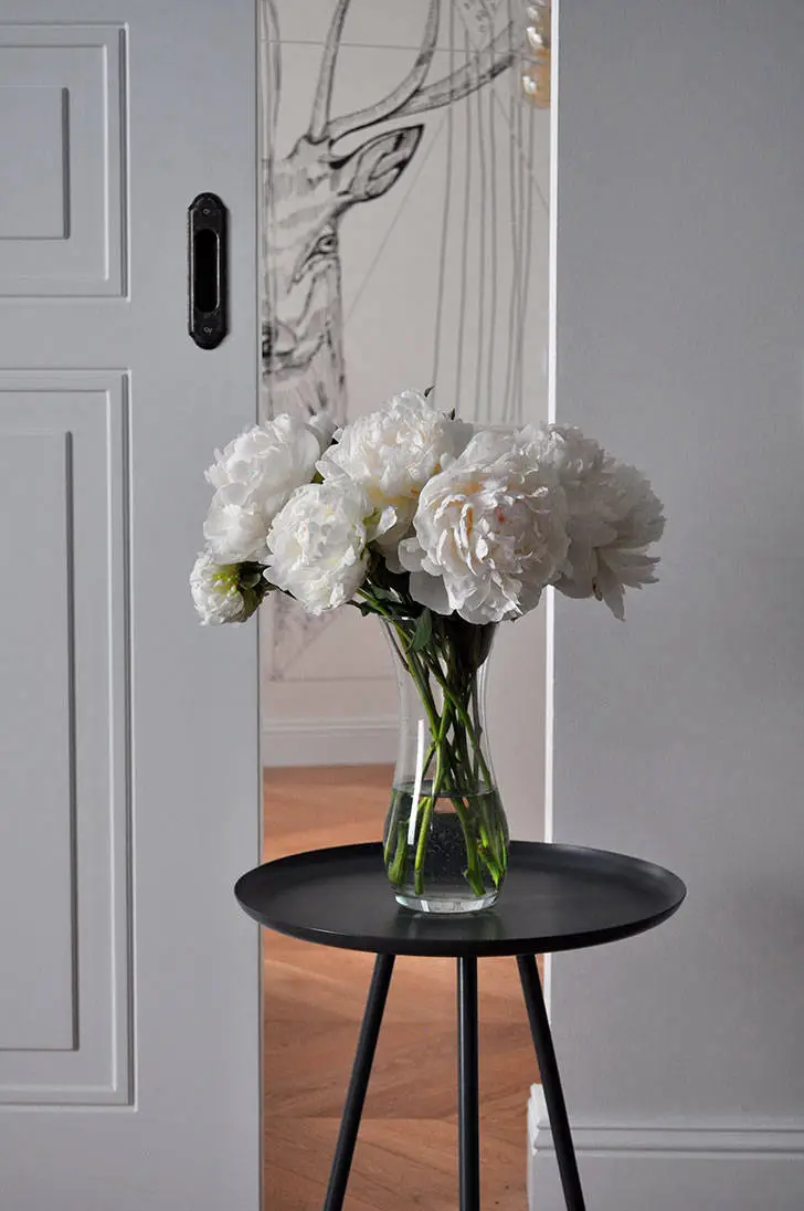 Зручна сучасна квартира для молодої дівчини в центрі Санкт-Петербурга (48 м²) - Gallery image 9