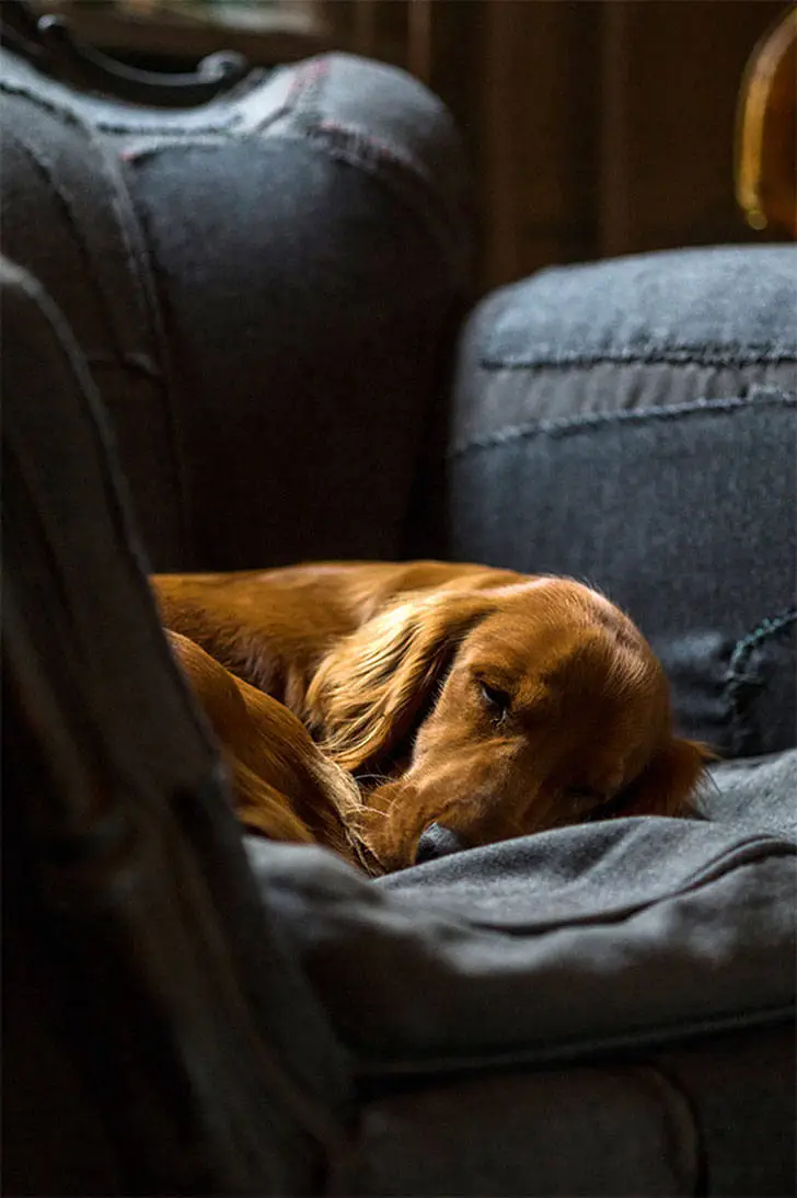 Праздничное оформление квартиры датского декоратора - Gallery image 10