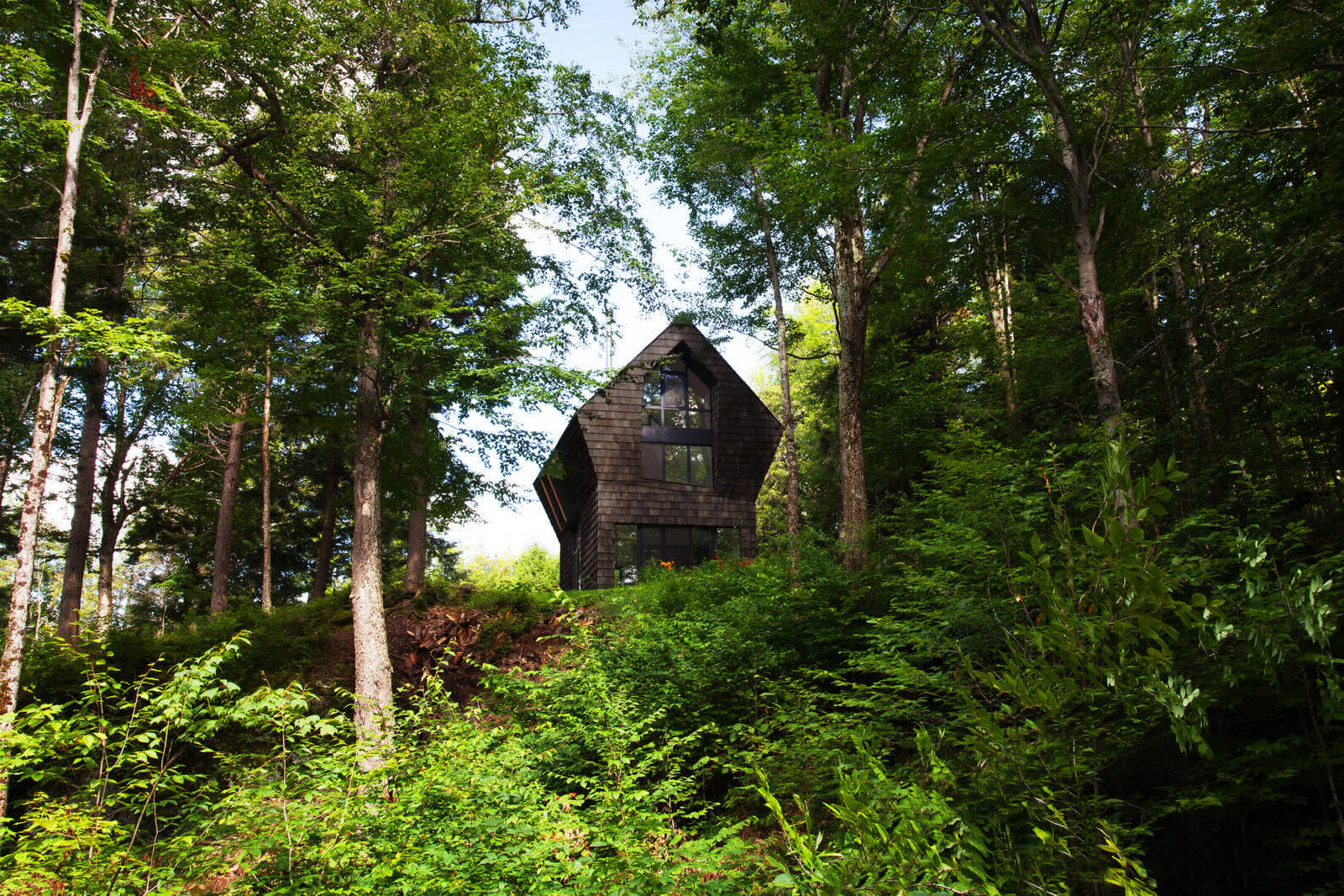 Укромный дом в канадских лесах