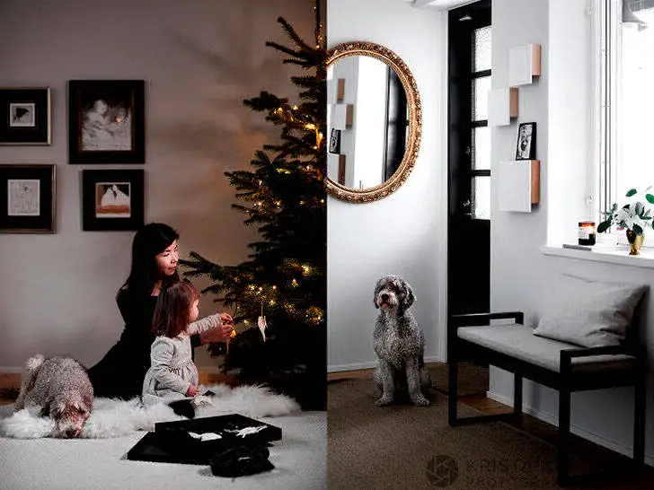 Річний декор у темних відтонах у будинку у Фінляндії - Gallery image 5