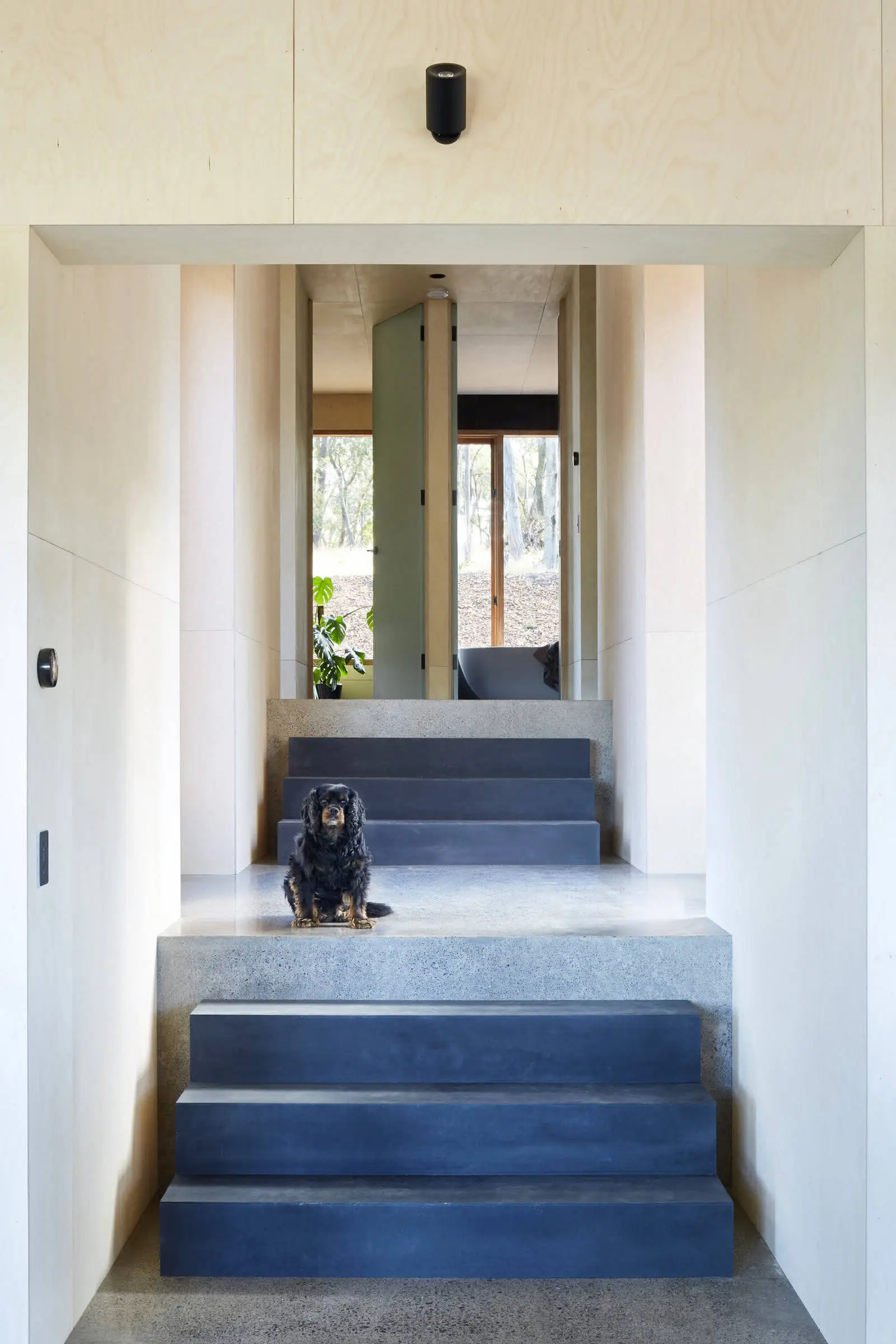 Сімейний дім від студії Moloney Architects у Австралії - Gallery image 12