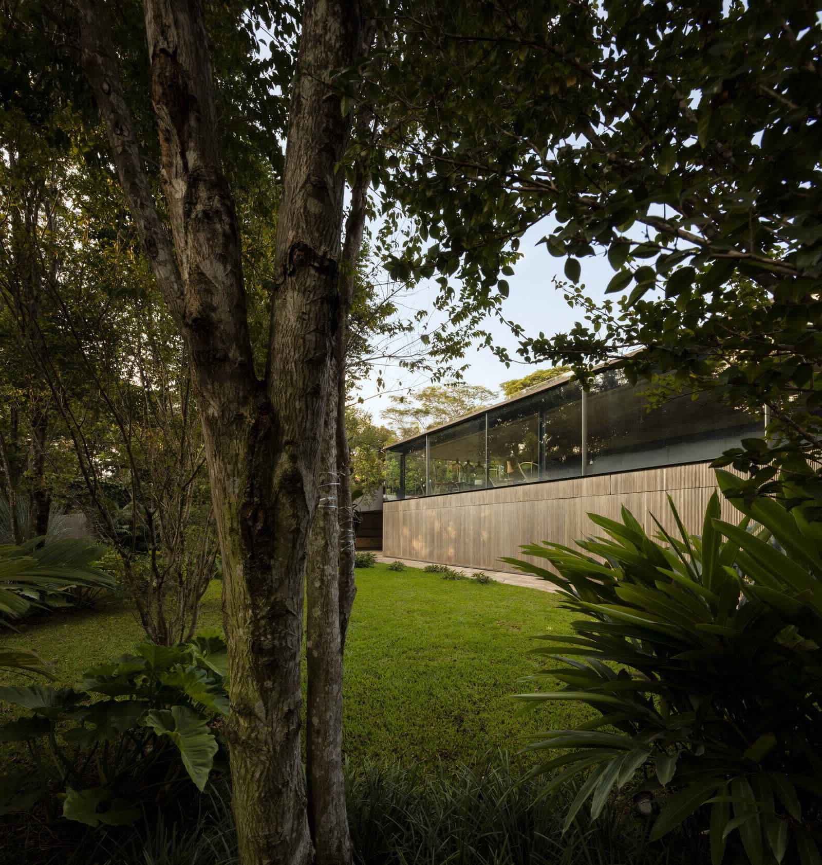 Проект FIO House с органическим бассейном в Сан-Паулу от Studio MK-27
