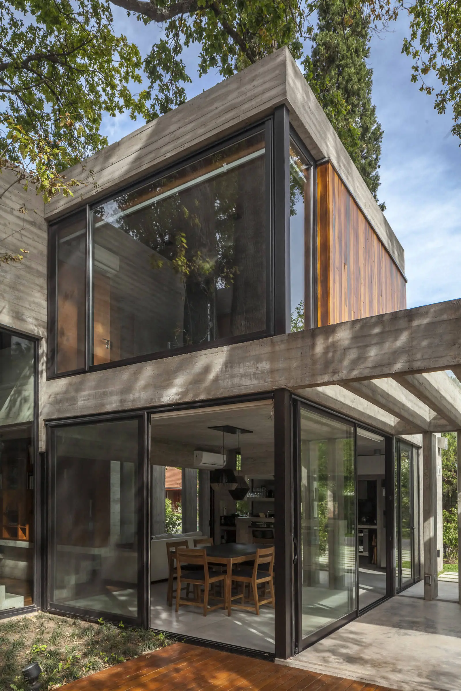 Árboles de la casa ARANZAZU en Argentina - Gallery image 11