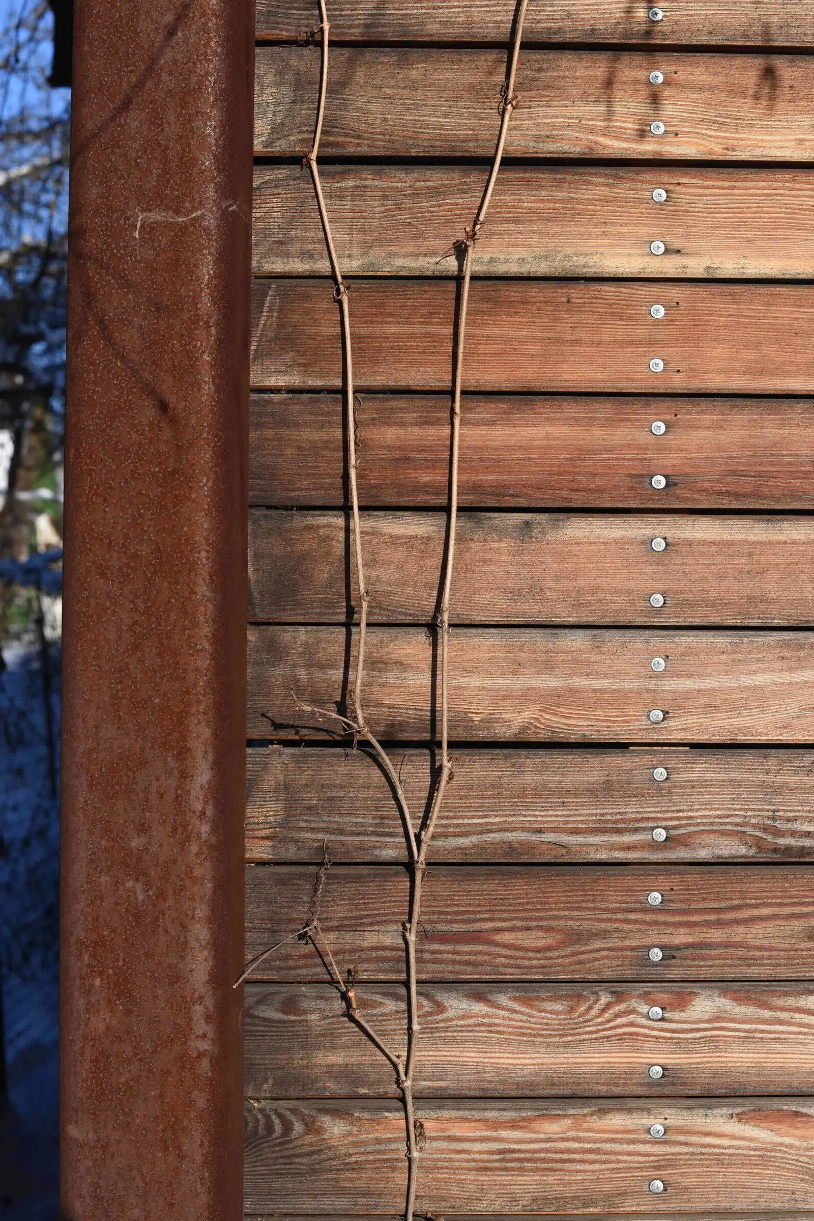 Дачний будинок у Підмосков'ї - Gallery image 9