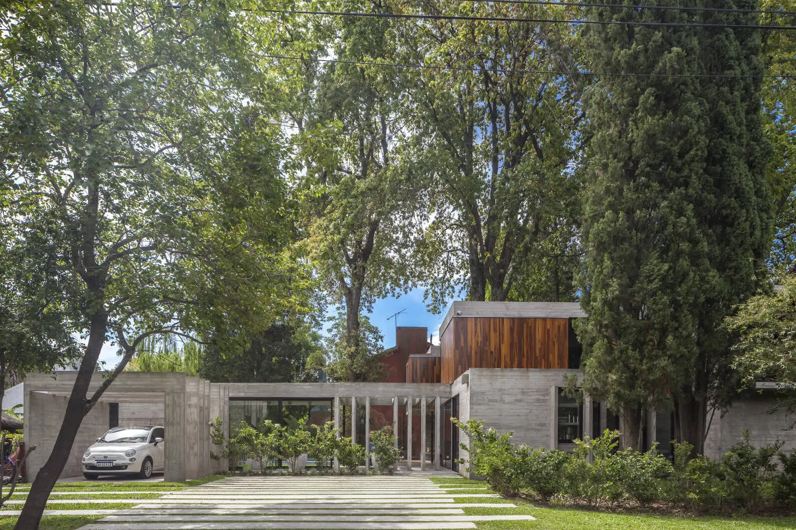 Árboles de la casa ARANZAZU en Argentina - Gallery image 7