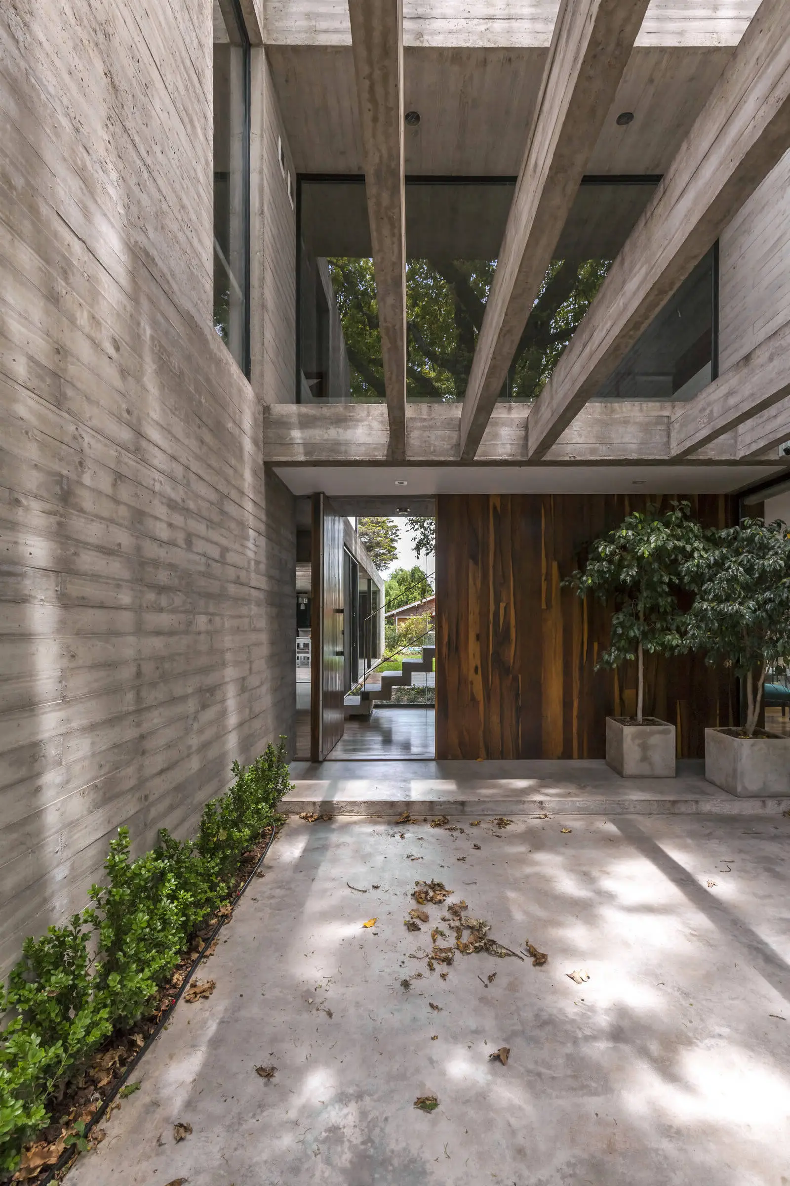 Árboles de la casa ARANZAZU en Argentina - Gallery image 10