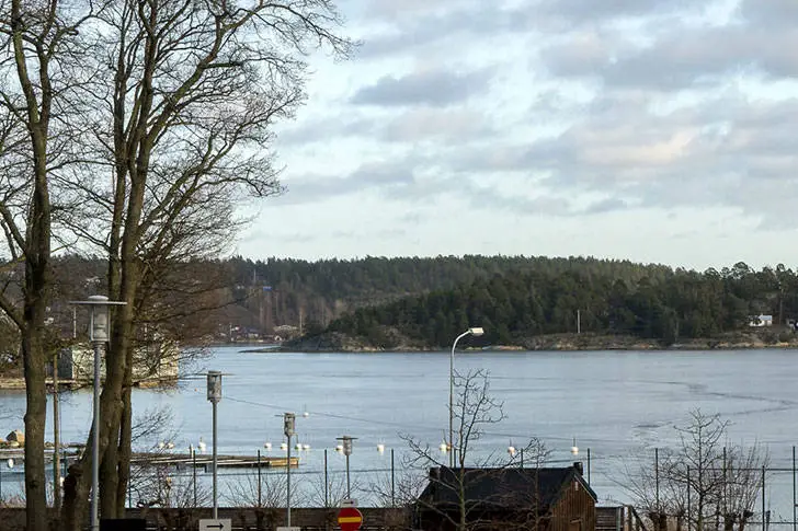 У чорній квартири.. - Gallery image 18