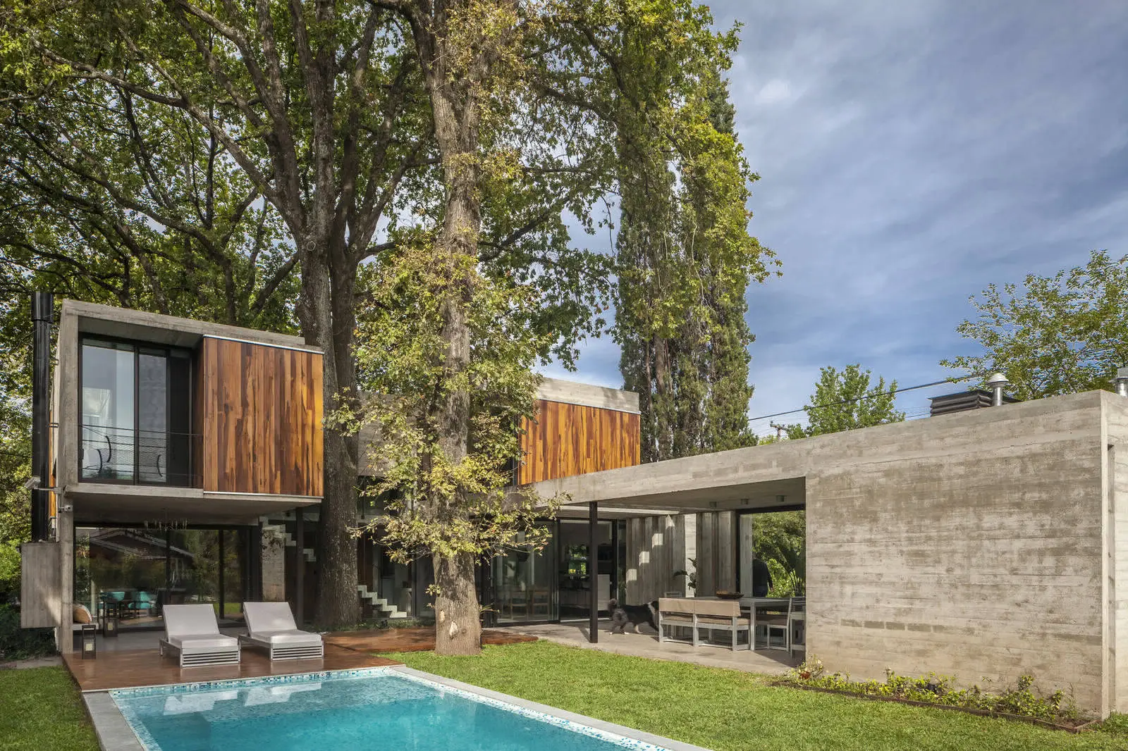 Árboles de la casa ARANZAZU en Argentina - Gallery image 3