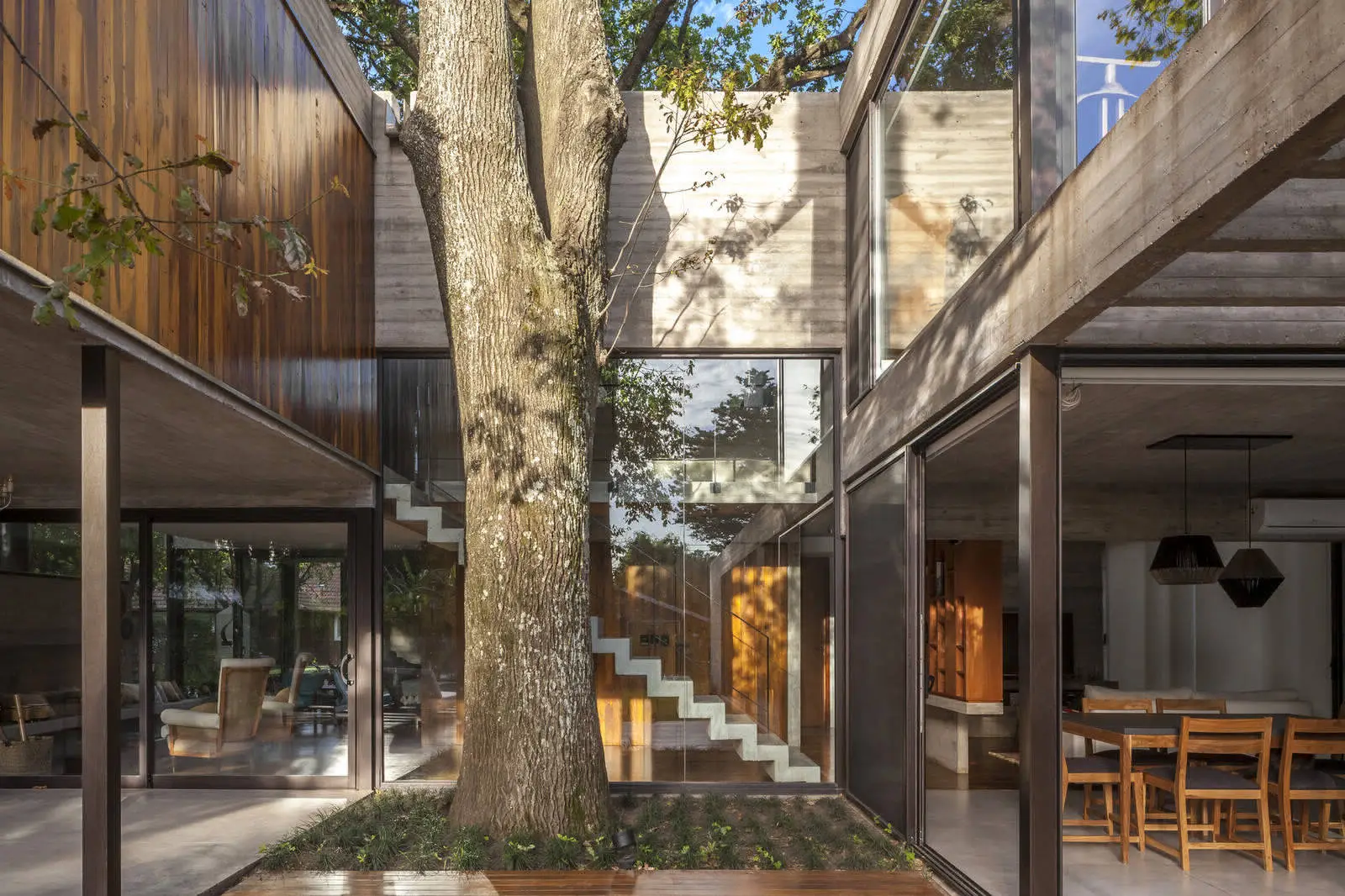 Árboles de la casa ARANZAZU en Argentina - Gallery image 12