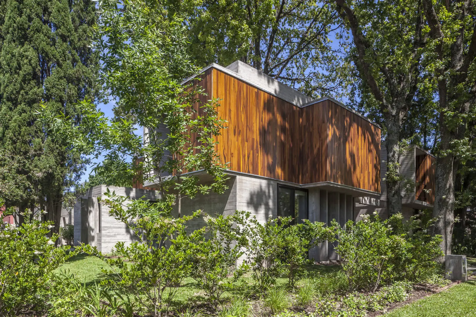 Árboles de la casa ARANZAZU en Argentina - Gallery image 9
