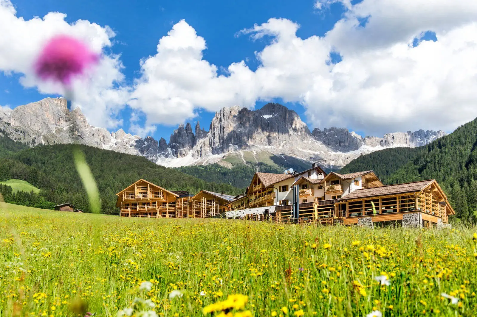 Ökologischer Urlaub im Hotel Cyprianerhof in den Dolomitenalpen - Gallery image 13