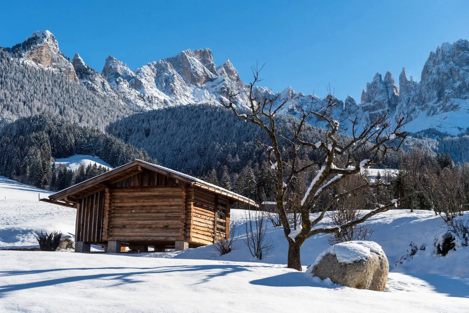 Ökologischer Urlaub im Hotel Cyprianerhof in den Dolomitenalpen - Gallery image 24