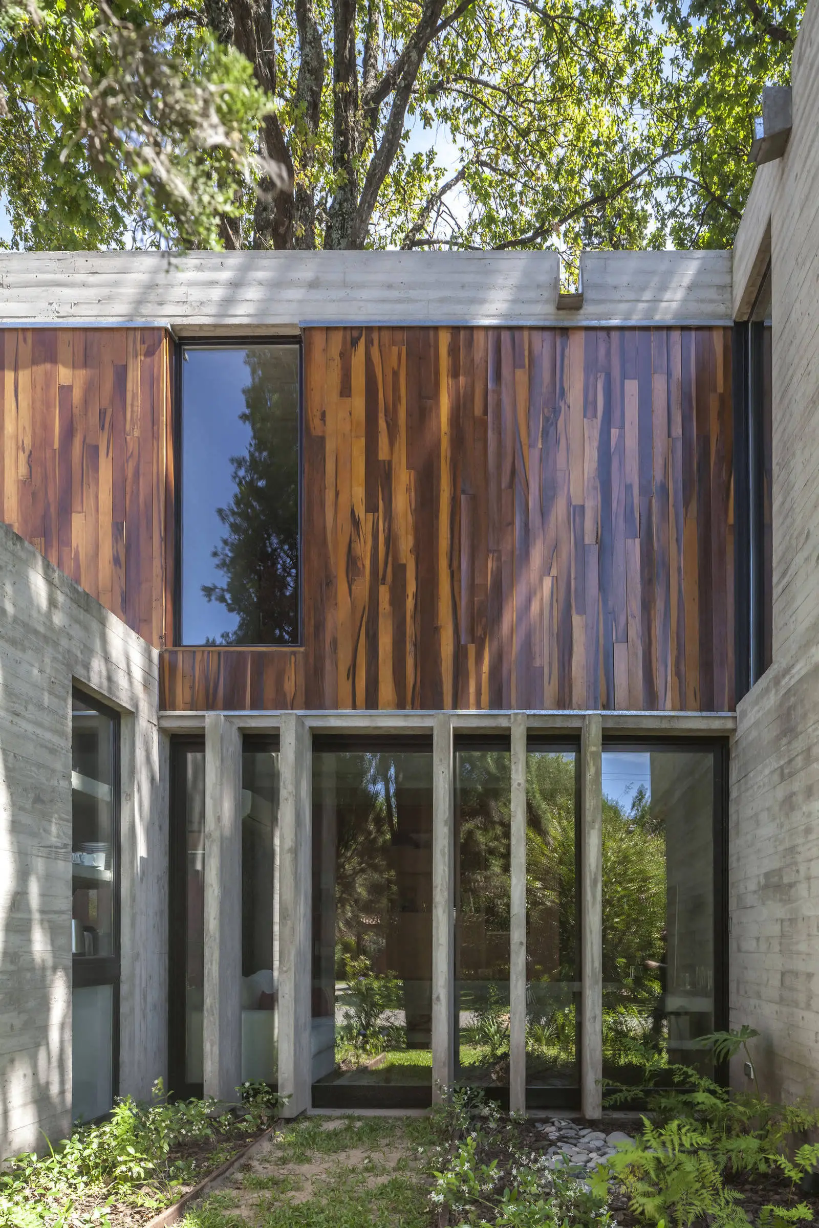 Árboles de la casa ARANZAZU en Argentina - Gallery image 24