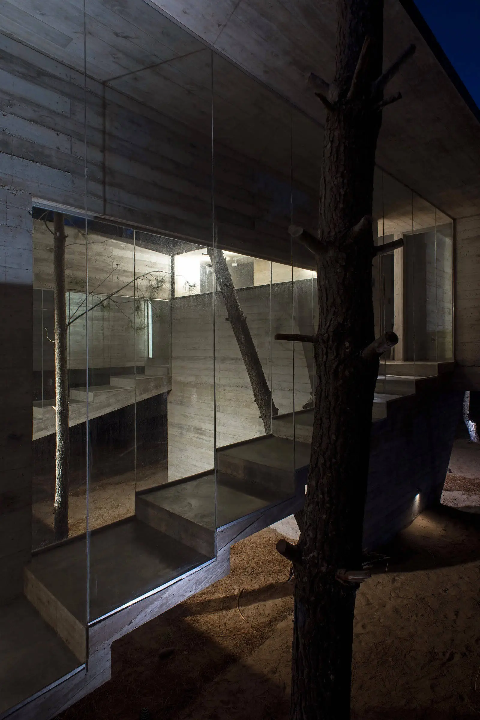 Сучасна резиденція в прикордонному районі Буенос-Айреса - Gallery image 8