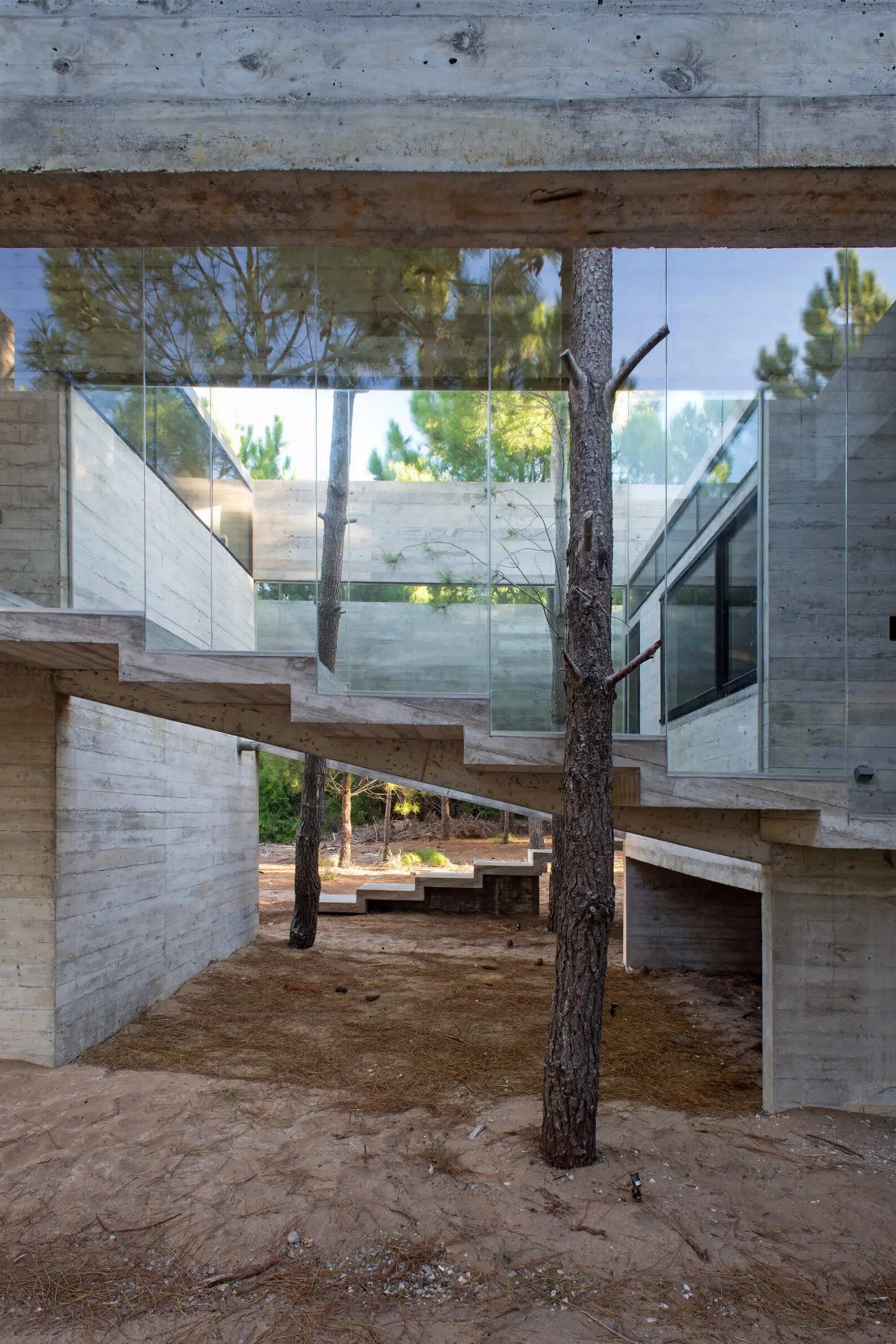 Сучасна резиденція в прикордонному районі Буенос-Айреса - Gallery image 24