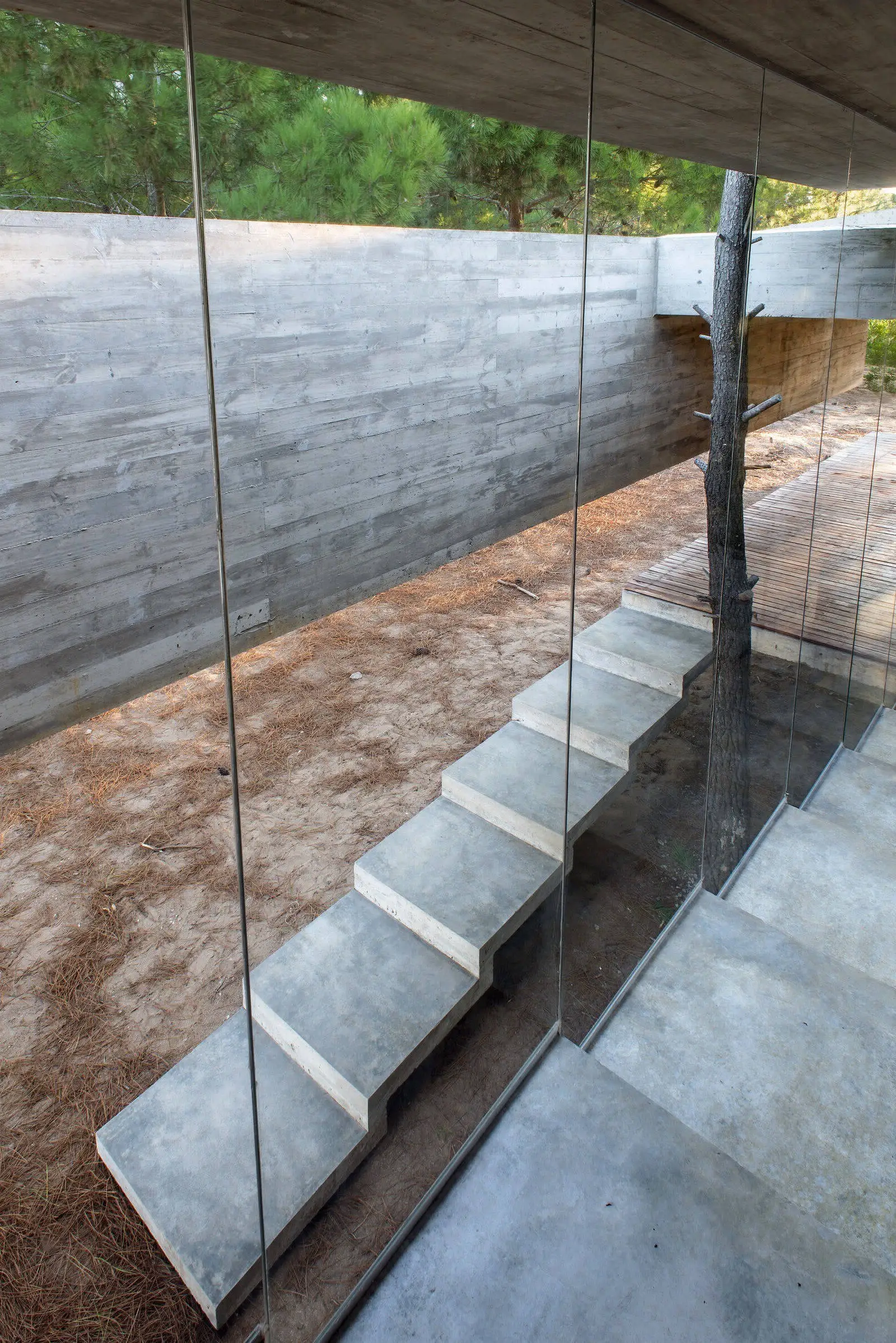 Сучасна резиденція в прикордонному районі Буенос-Айреса - Gallery image 19