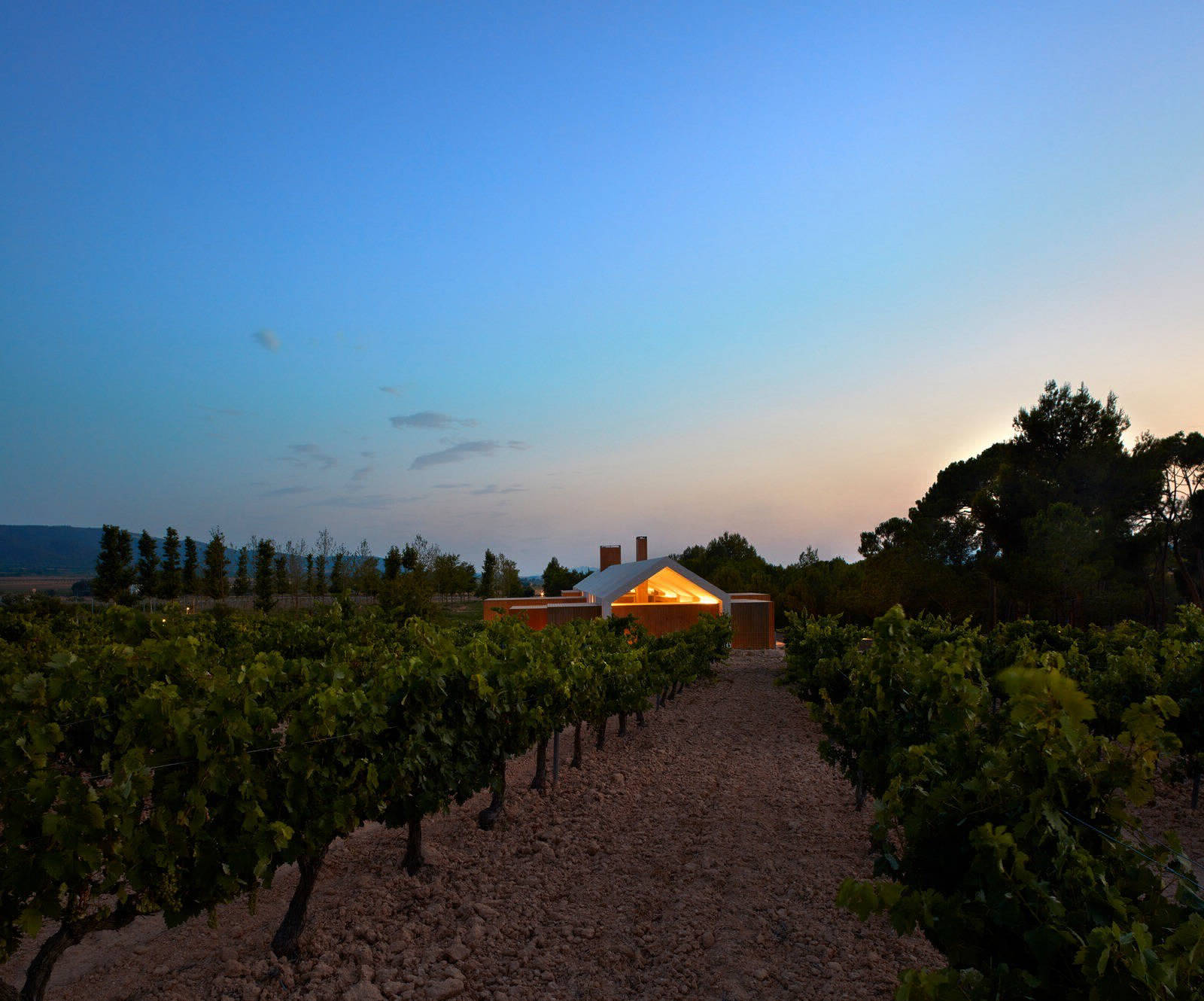 Энергосберегающий коттедж среди виноградников в Испании