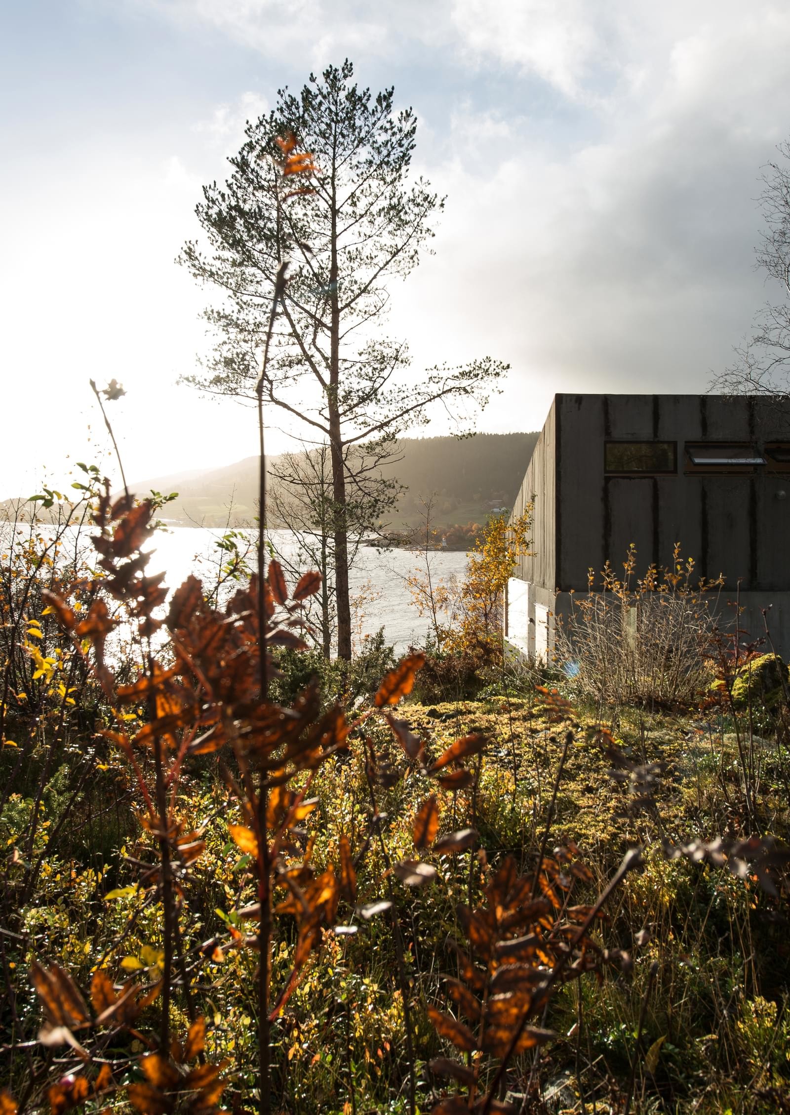 Загородный дом с видом на фьорд в Норвегии