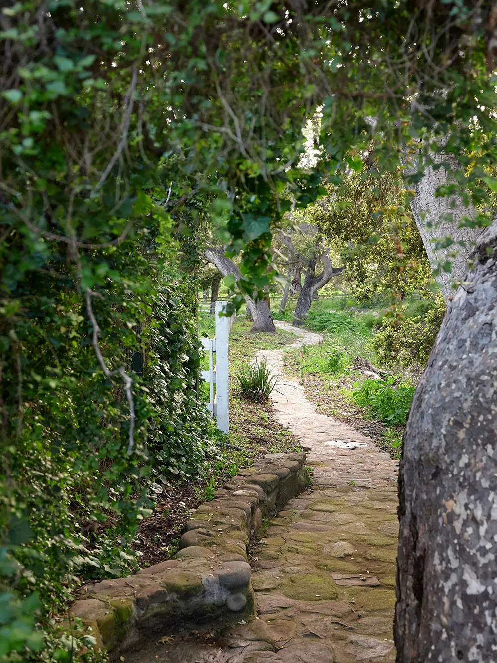 Magnifiques intérieurs de villa espagnole en Californie - Gallery image 11