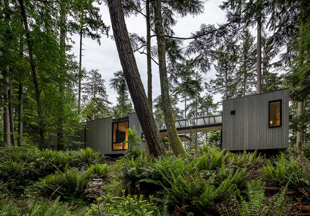 Kleines modulares Haus im Wald mit korridoren ohne wände - Gallery image 13