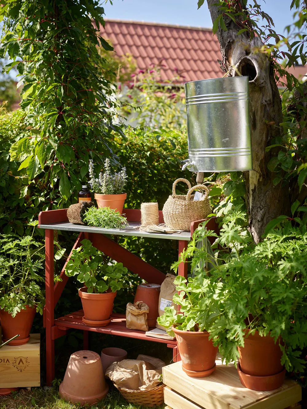 Small but very cozy Swedish cottage with updated interiors (26 sq m) - Gallery image 23