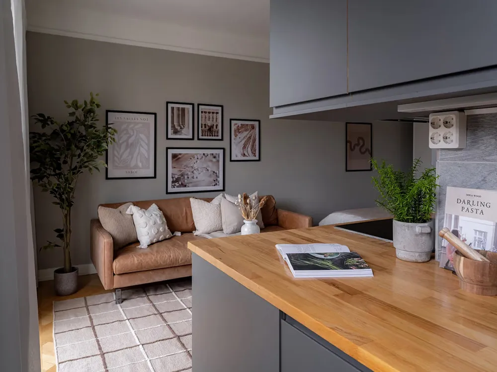 Estilo moderno apartamento pequeño con sofá de cuero y cama en armario (38 m²) - Gallery image 3