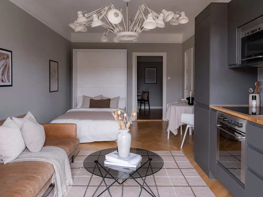 Estilo moderno apartamento pequeño con sofá de cuero y cama en armario (38 m²) - Gallery image 4