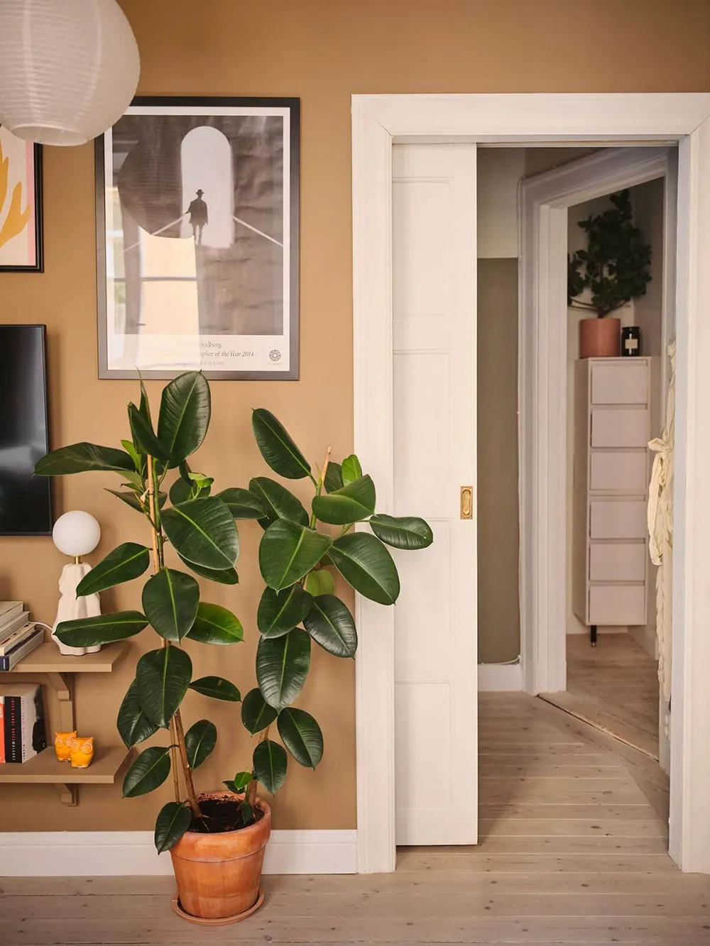 Красивые оттенки коричневого, желтого и зеленого в дизайне шведской квартиры (32 кв. м) - Gallery image 2