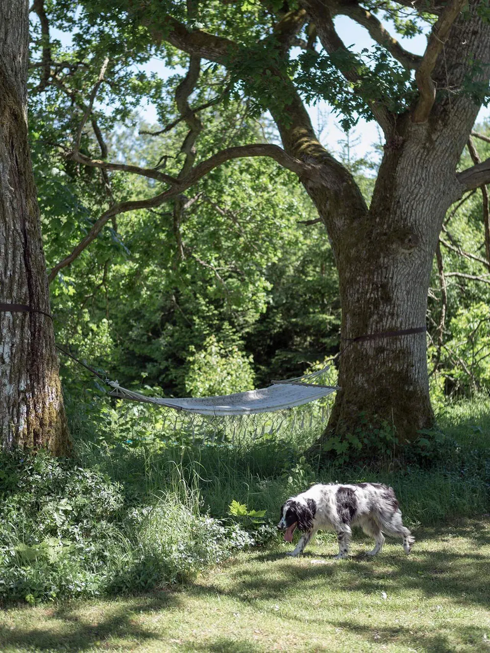 Красивый жёлтый коттедж 19-века с голубой дверью в Швеции - Gallery image 16