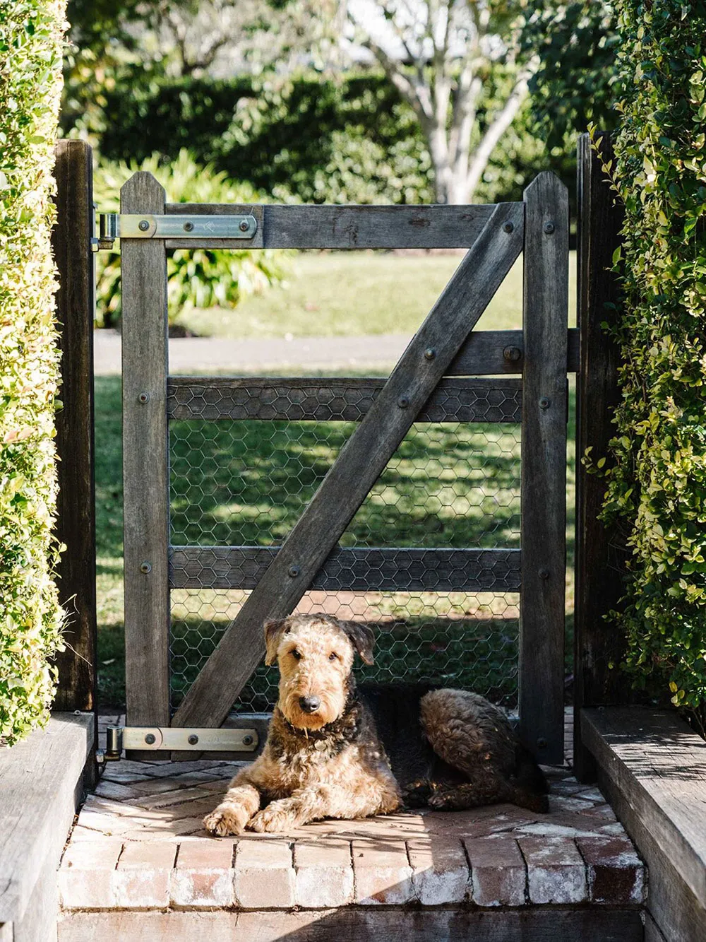 Cozy Cottage in Australia - Gallery image 20