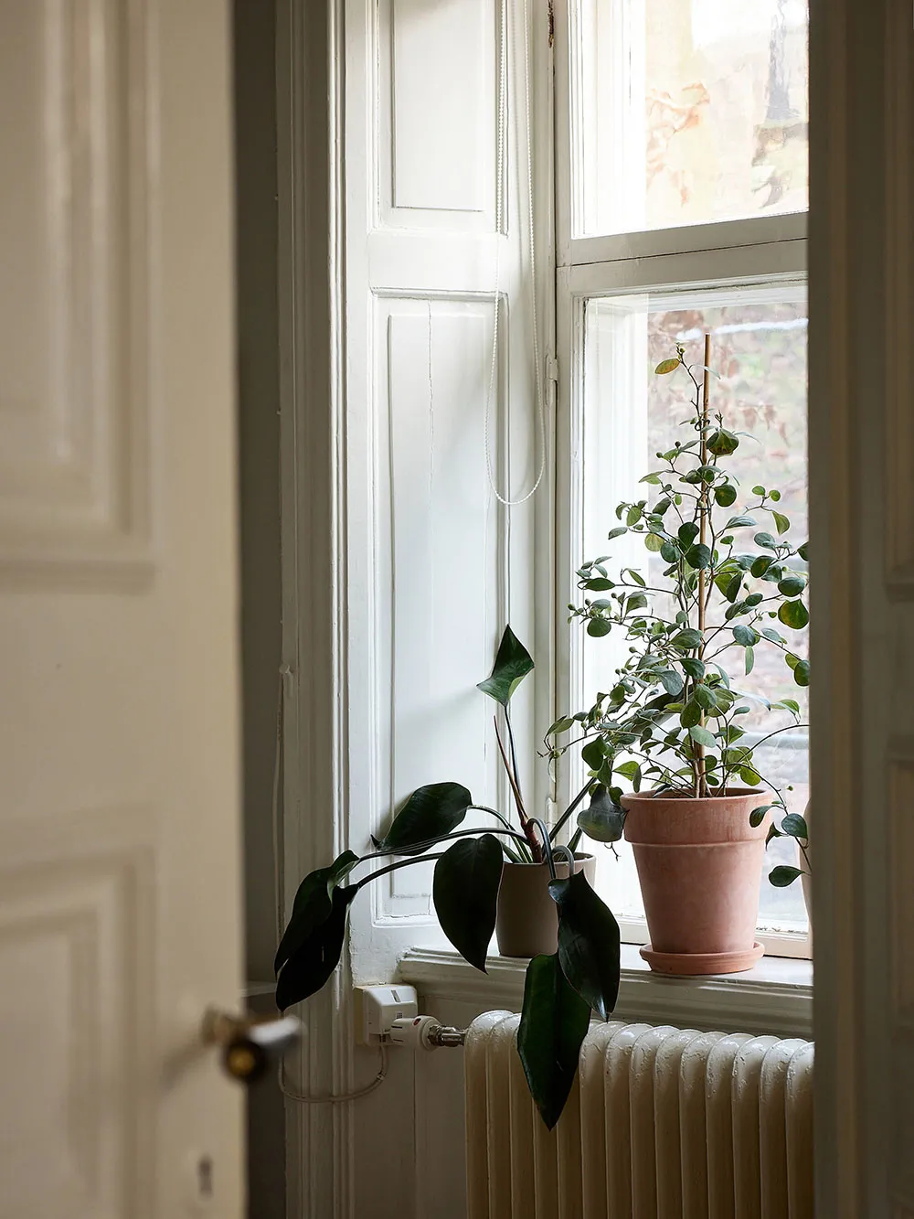 Petite mais charmante deux pièces avec tapis blanc et cuisine sombre (43 m²) - Gallery image 6