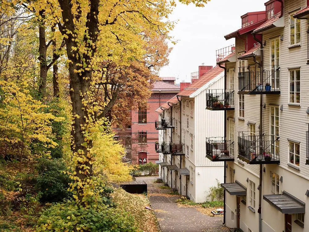 Приятная скандинавская квартира в оливковых тонах (66 кв. м) - Gallery image 21