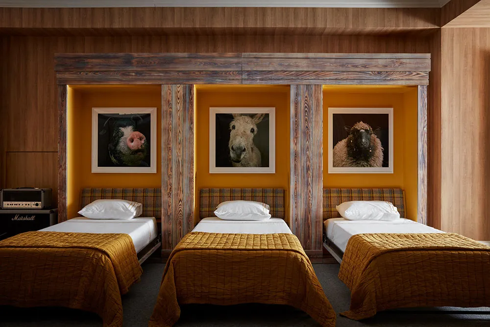 Design moderne et lumineux pour une maison de montagne familiale à Aspen - Gallery image 15