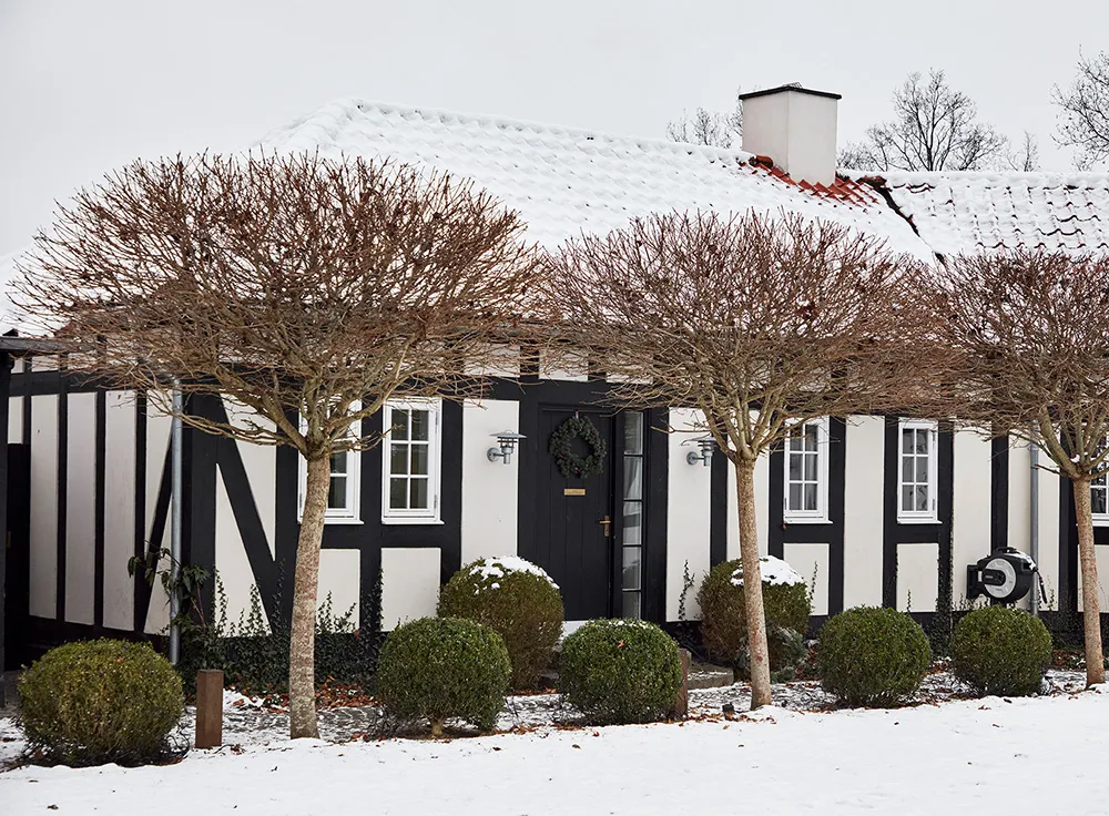 Fête de Noël calme et moderne dans une maison de campagne en Danemark - Gallery image 2