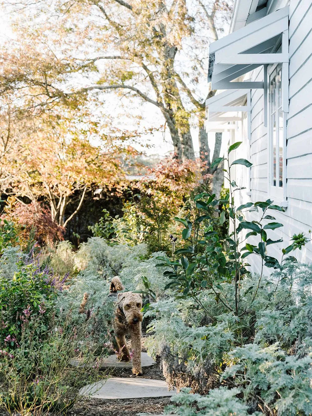 Cozy Cottage in Australia - Gallery image 19