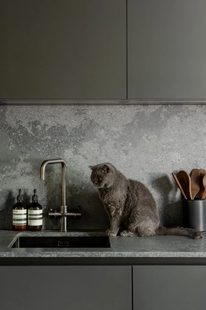 Современный интерьер викторианской квартиры в Лондоне с зелёной гостиной - Gallery image 8