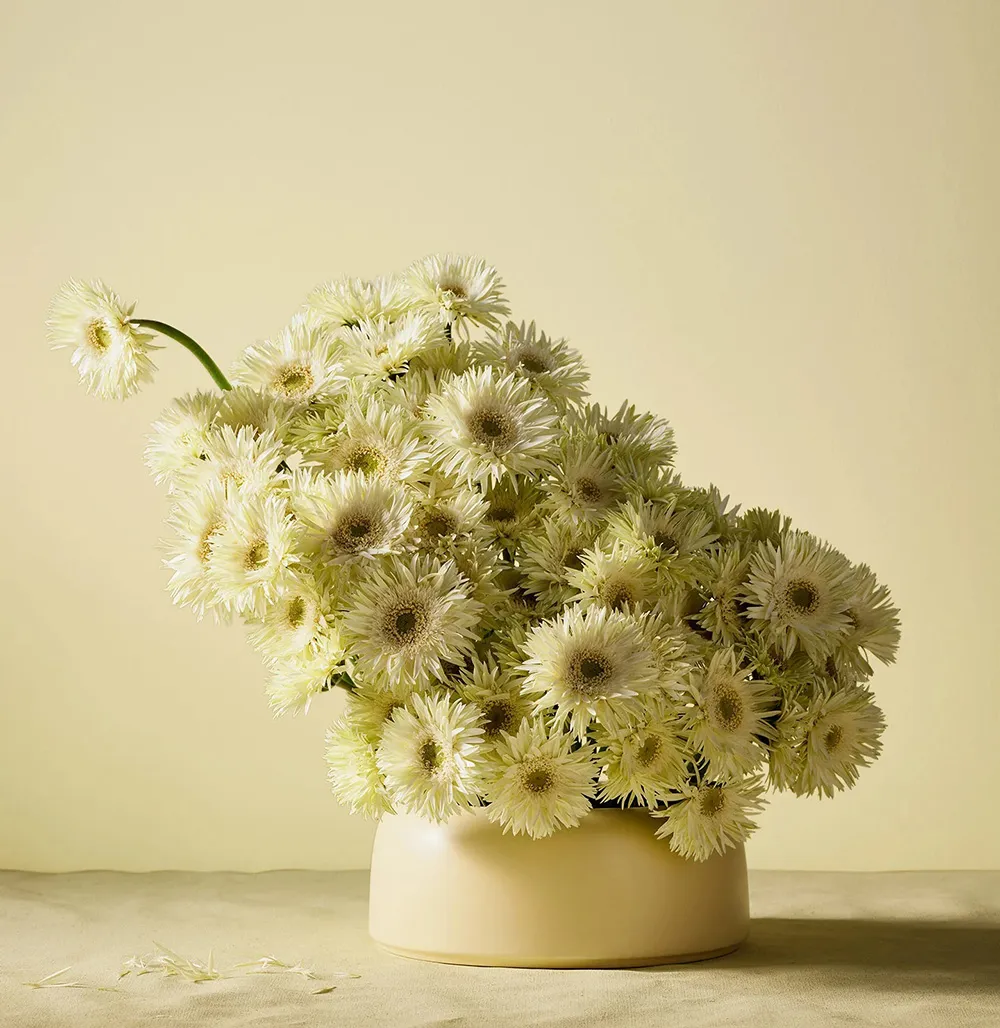 Soothing Nature Colors: New Inspirations from Jotun - Gallery image 16