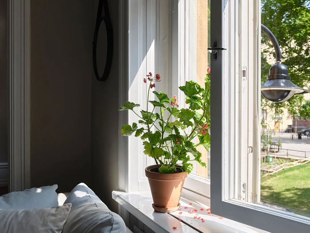 Parc vue par la fenêtre : un cadre cosy pour les intérieurs - Gallery image 14