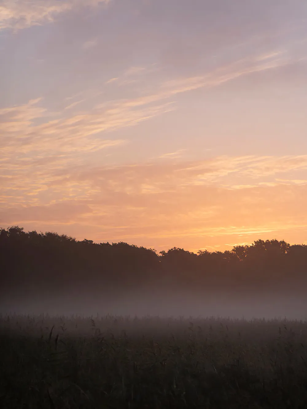Casa de verano en Dinamarca del famoso arquitecto Bjarke Ingels - Gallery image 10