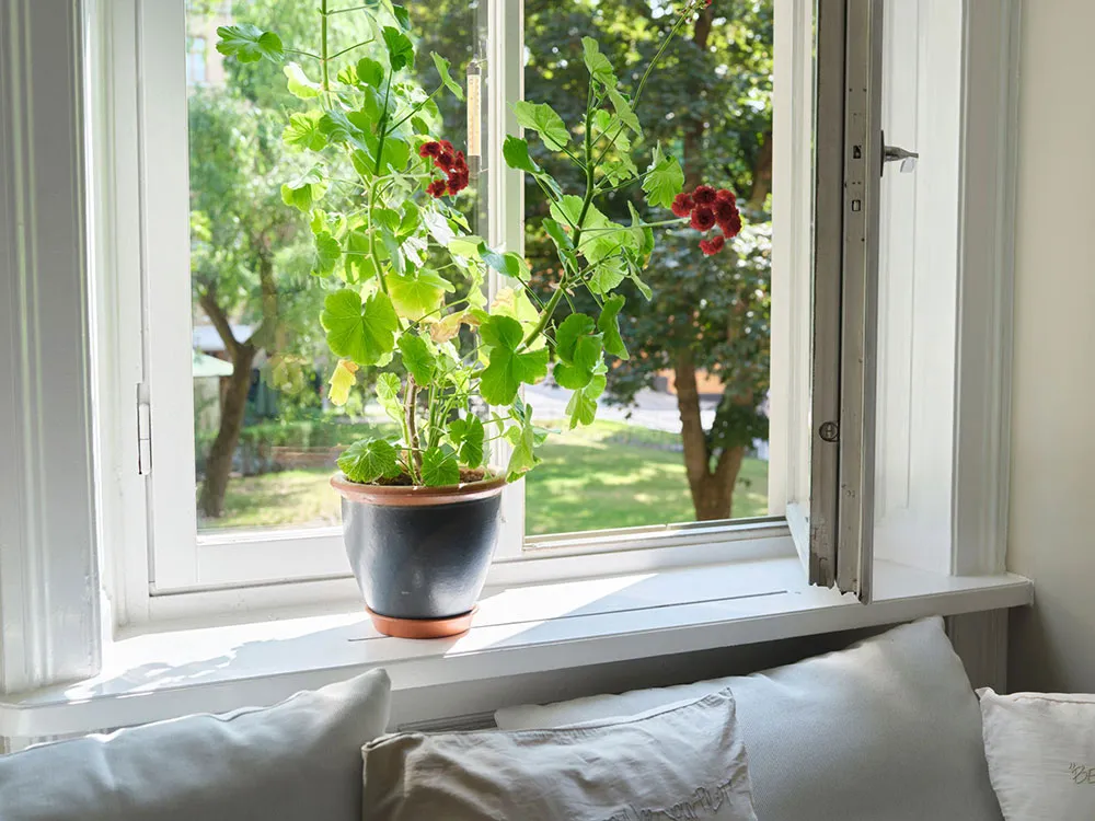 Parc vue par la fenêtre : un cadre cosy pour les intérieurs - Gallery image 13