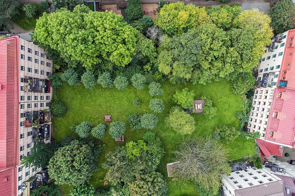 Spokojny интерьер w Getborgu, który przypomina naturę za oknem - Gallery image 33