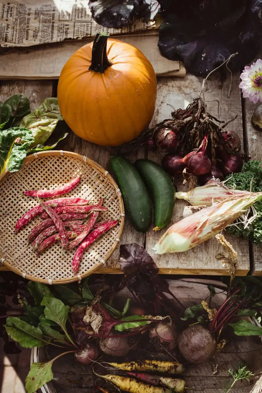 स्वीडन में सुविधाजनक किसान का कॉटेज, जिसमें बड़ा बगीचा है। - Gallery image 8