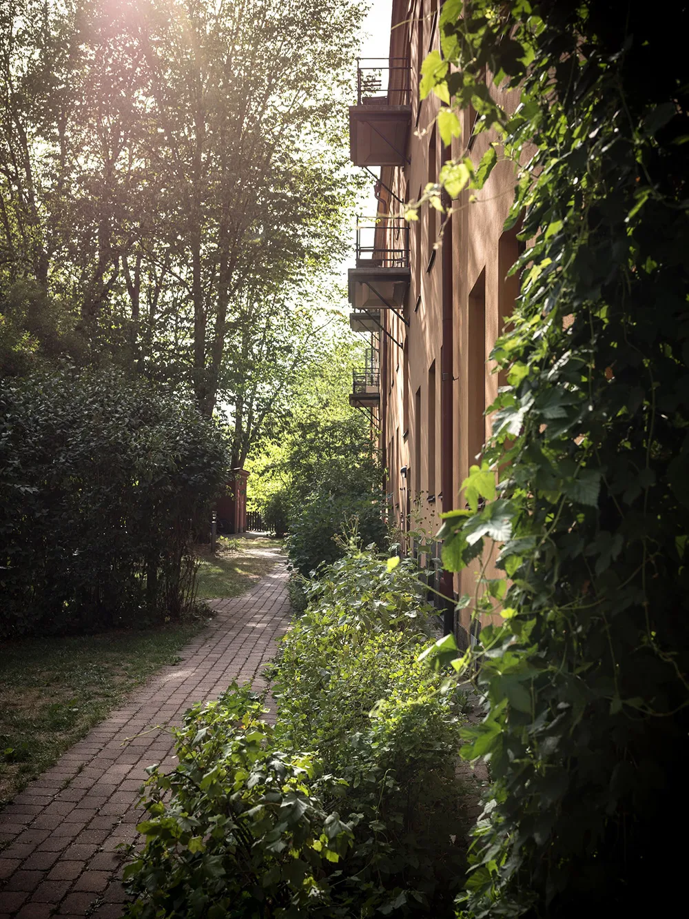 Petite appartement suédois avec des accents olivâtres (41 m²) - Gallery image 18